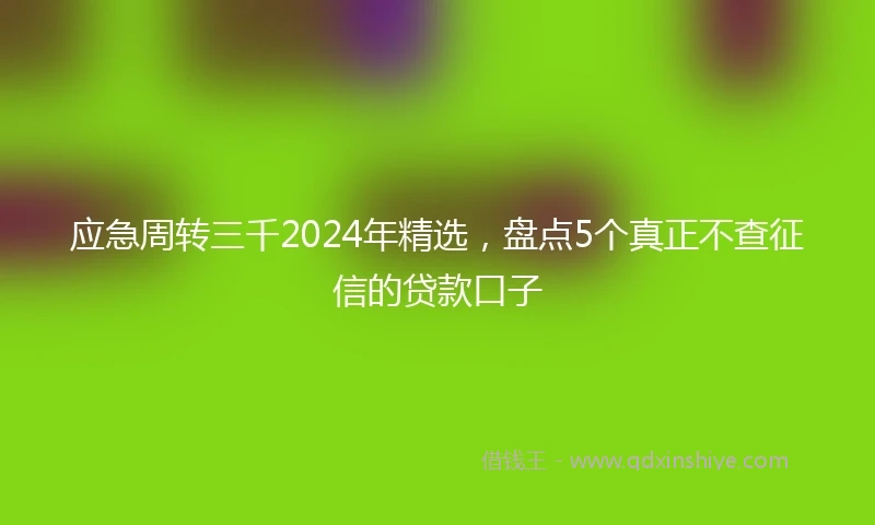 应急周转三千2024年精选，盘点5个真正不查征信的贷款口子