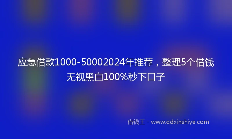 应急借款1000-50002024年推荐，整理5个借钱无视黑白100%秒下口子