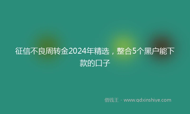 征信不良周转金2024年精选，整合5个黑户能下款的口子