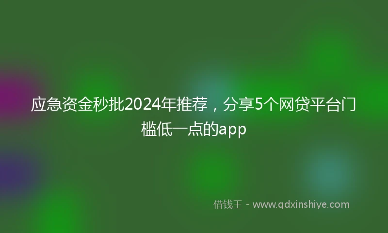 应急资金秒批2024年推荐，分享5个网贷平台门槛低一点的app