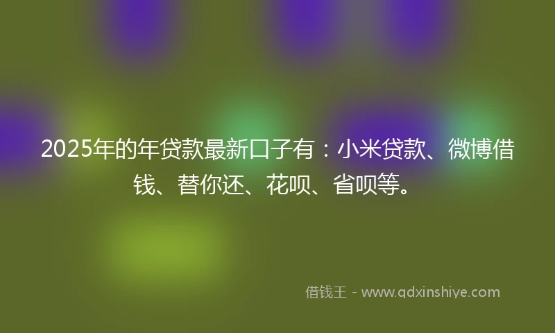 2025年的年贷款最新口子有：小米贷款、微博借钱、替你还、花呗、省呗等。
