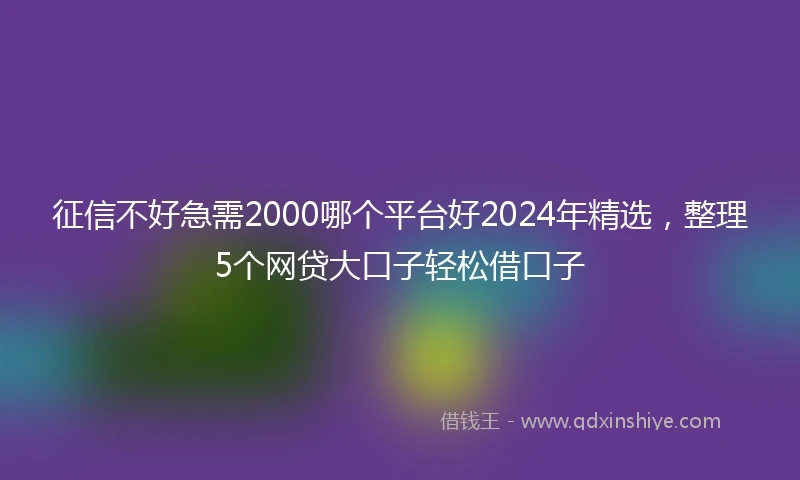 征信不好急需2000哪个平台好2024年精选，整理5个网贷大口子轻松借口子