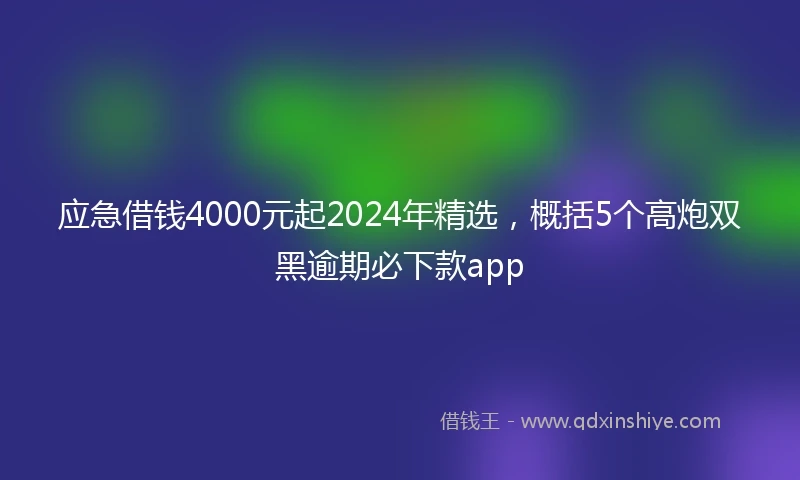应急借钱4000元起2024年精选，概括5个高炮双黑逾期必下款app