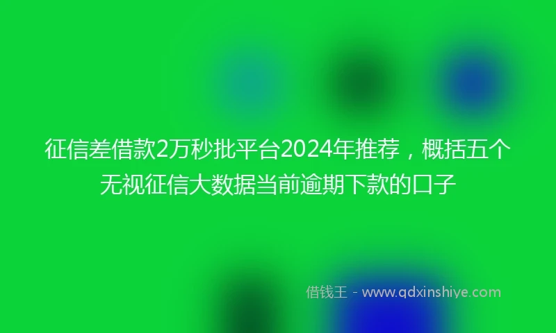 征信差借款2万秒批平台2024年推荐，概括五个无视征信大数据当前逾期下款的口子