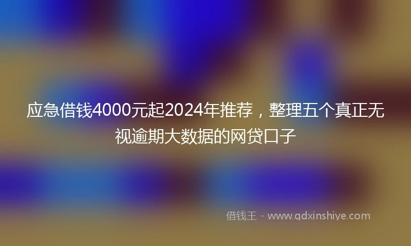 应急借钱4000元起2024年推荐，整理五个真正无视逾期大数据的网贷口子