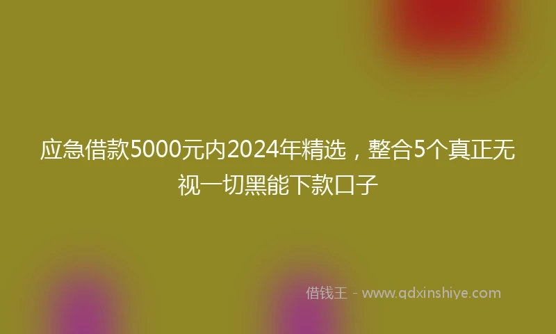 应急借款5000元内2024年精选，整合5个真正无视一切黑能下款口子