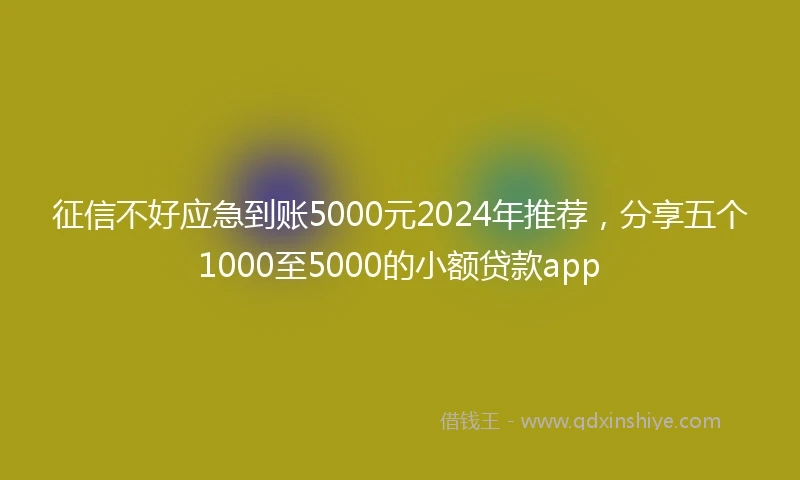 征信不好应急到账5000元2024年推荐，分享五个1000至5000的小额贷款app