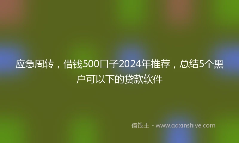 应急周转，借钱500口子2024年推荐，总结5个黑户可以下的贷款软件