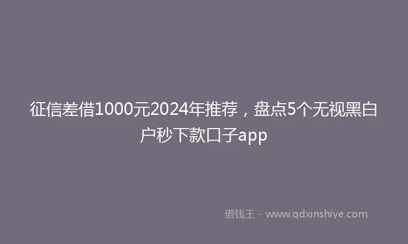征信差借1000元2024年推荐，盘点5个无视黑白户秒下款口子app