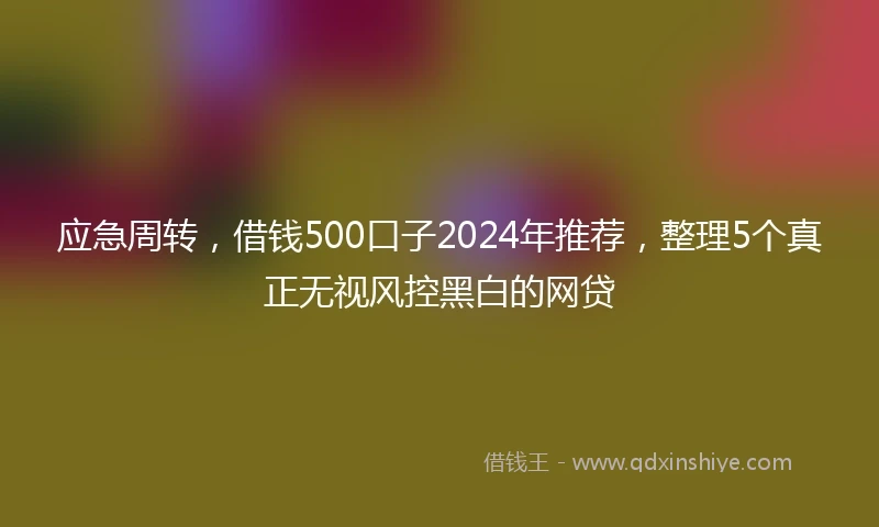 应急周转，借钱500口子2024年推荐，整理5个真正无视风控黑白的网贷