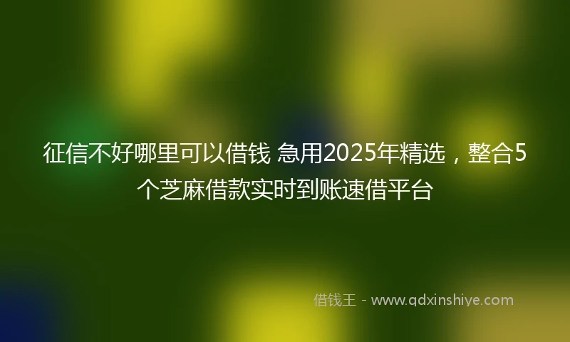 征信不好哪里可以借钱 急用2025年精选，整合5个芝麻借款实时到账速借平台