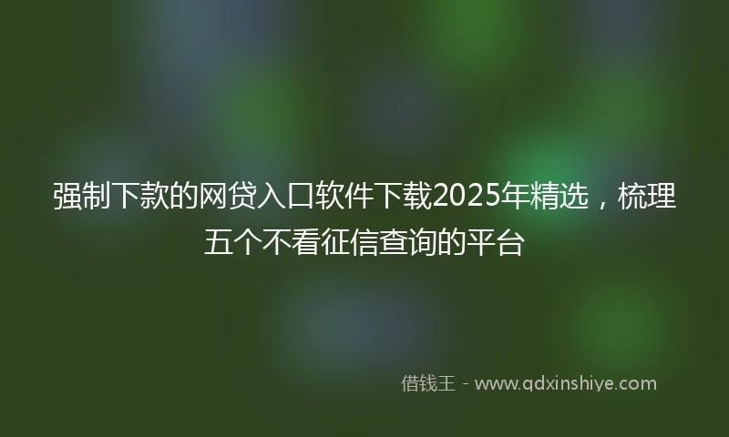 强制下款的网贷入口软件下载2025年精选，梳理五个不看征信查询的平台