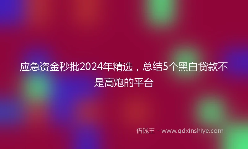 应急资金秒批2024年精选，总结5个黑白贷款不是高炮的平台
