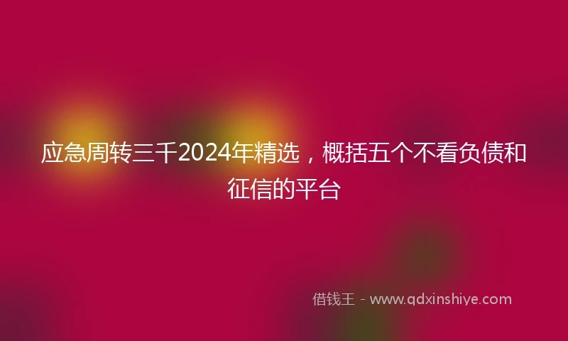 应急周转三千2024年精选，概括五个不看负债和征信的平台