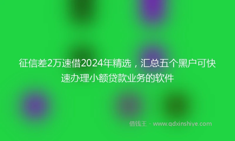 征信差2万速借2024年精选，汇总五个黑户可快速办理小额贷款业务的软件