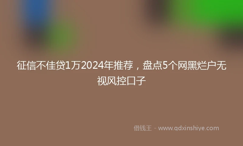 征信不佳贷1万2024年推荐，盘点5个网黑烂户无视风控口子