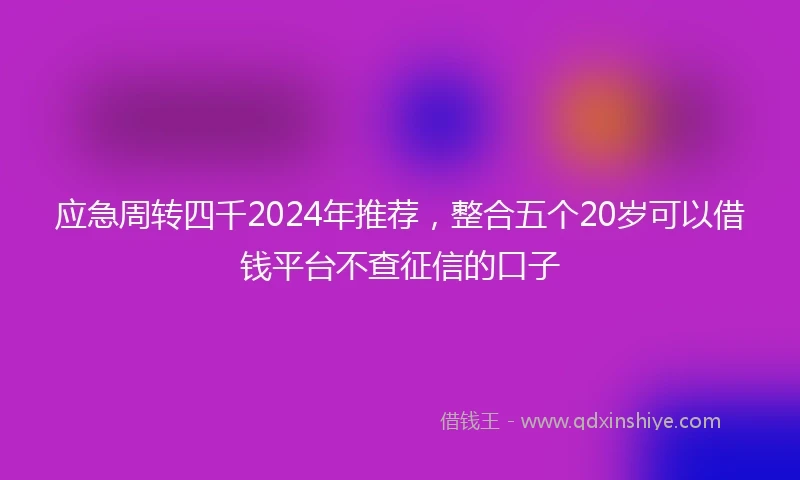 应急周转四千2024年推荐，整合五个20岁可以借钱平台不查征信的口子