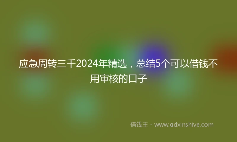 应急周转三千2024年精选，总结5个可以借钱不用审核的口子