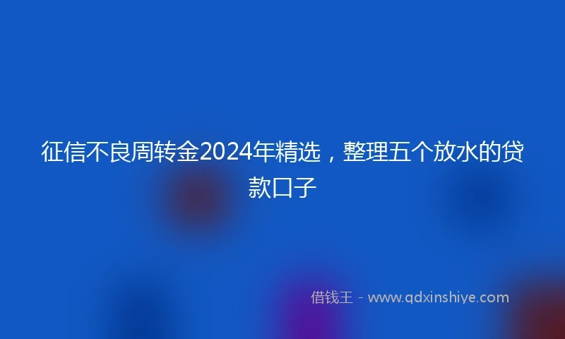 征信不良周转金2024年精选，整理五个放水的贷款口子