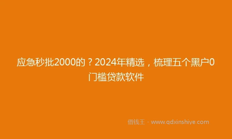 应急秒批2000的？2024年精选，梳理五个黑户0门槛贷款软件