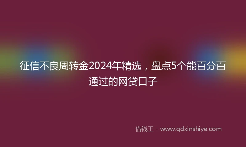 征信不良周转金2024年精选，盘点5个能百分百通过的网贷口子