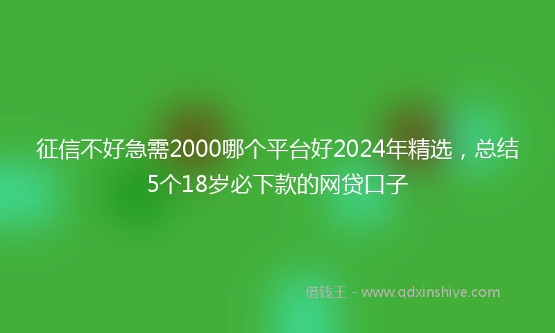 征信不好急需2000哪个平台好2024年精选，总结5个18岁必下款的网贷口子