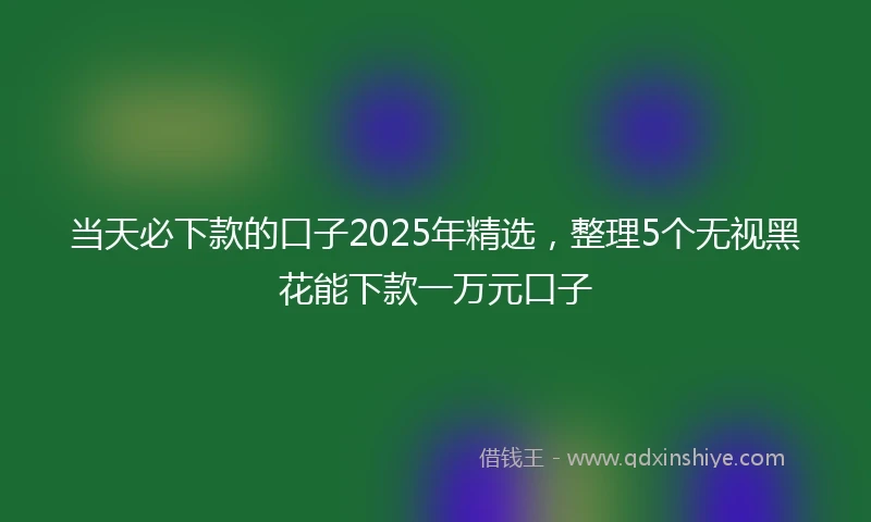 当天必下款的口子2025年精选，整理5个无视黑花能下款一万元口子