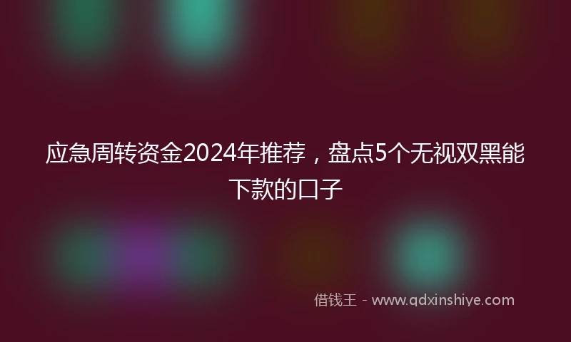应急周转资金2024年推荐，盘点5个无视双黑能下款的口子