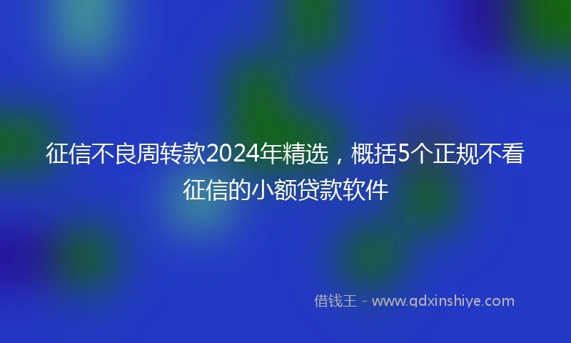 征信不良周转款2024年精选，概括5个正规不看征信的小额贷款软件