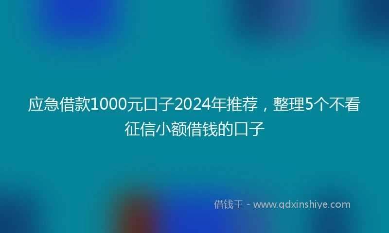 应急借款1000元口子2024年推荐，整理5个不看征信小额借钱的口子