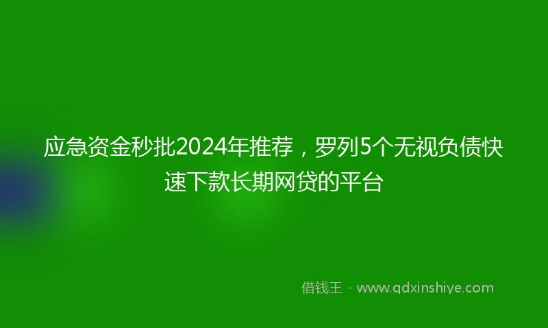 应急资金秒批2024年推荐，罗列5个无视负债快速下款长期网贷的平台
