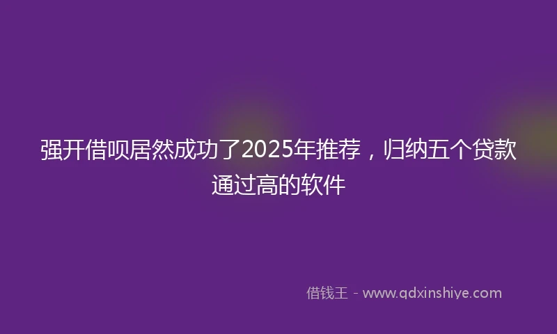 强开借呗居然成功了2025年推荐，归纳五个贷款通过高的软件