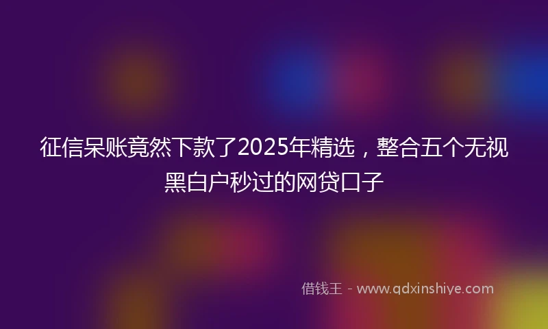 征信呆账竟然下款了2025年精选，整合五个无视黑白户秒过的网贷口子