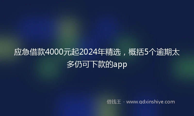 应急借款4000元起2024年精选，概括5个逾期太多仍可下款的app