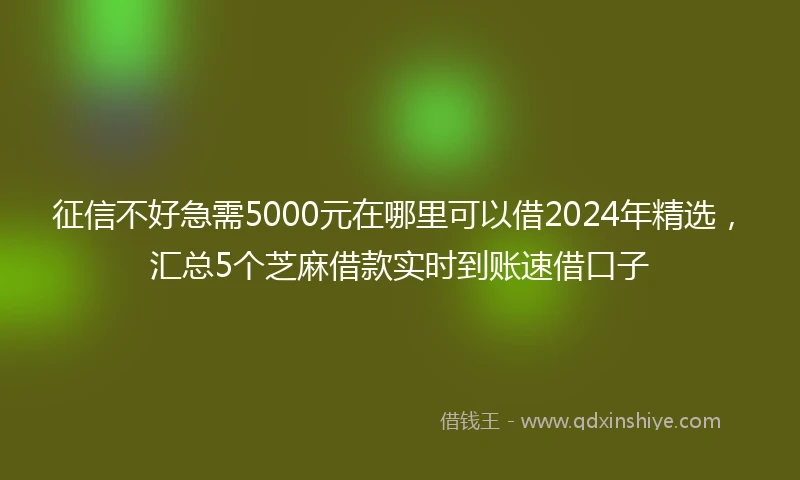 征信不好急需5000元在哪里可以借2024年精选，汇总5个芝麻借款实时到账速借口子