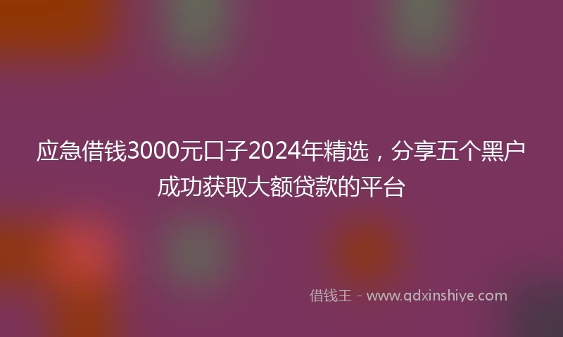 应急借钱3000元口子2024年精选，分享五个黑户成功获取大额贷款的平台