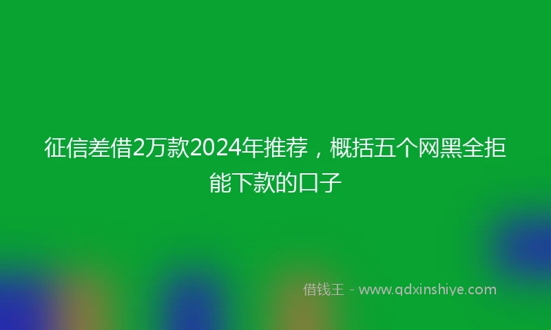 征信差借2万款2024年推荐，概括五个网黑全拒能下款的口子