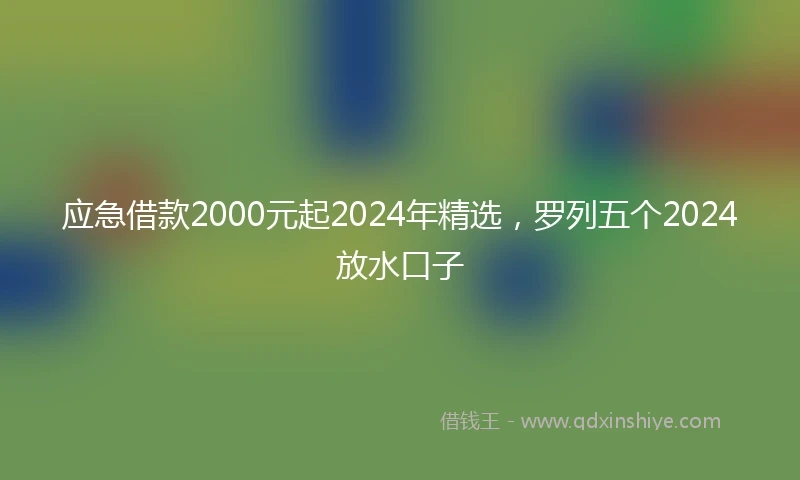 应急借款2000元起2024年精选，罗列五个2024放水口子