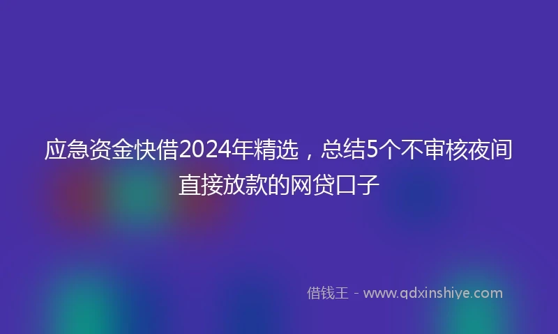 应急资金快借2024年精选，总结5个不审核夜间直接放款的网贷口子
