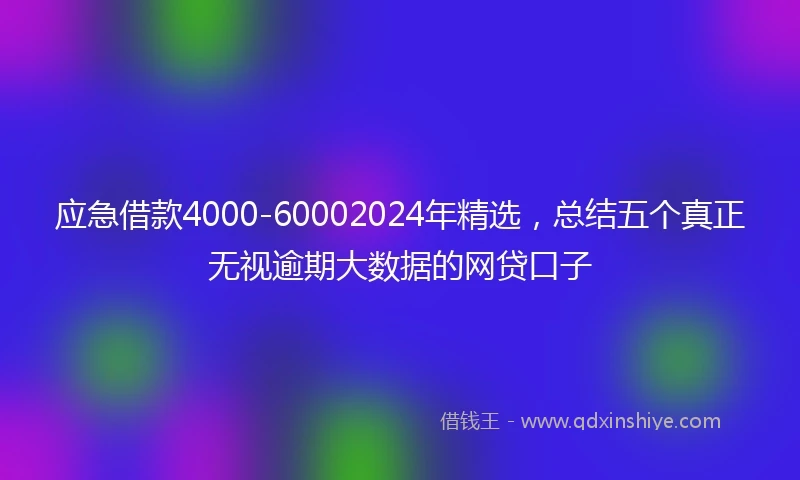 应急借款4000-60002024年精选，总结五个真正无视逾期大数据的网贷口子