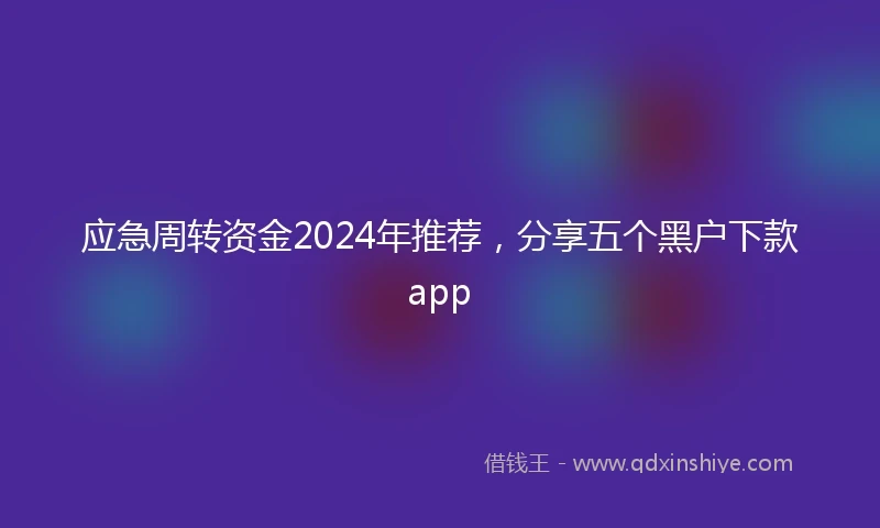 应急周转资金2024年推荐，分享五个黑户下款app
