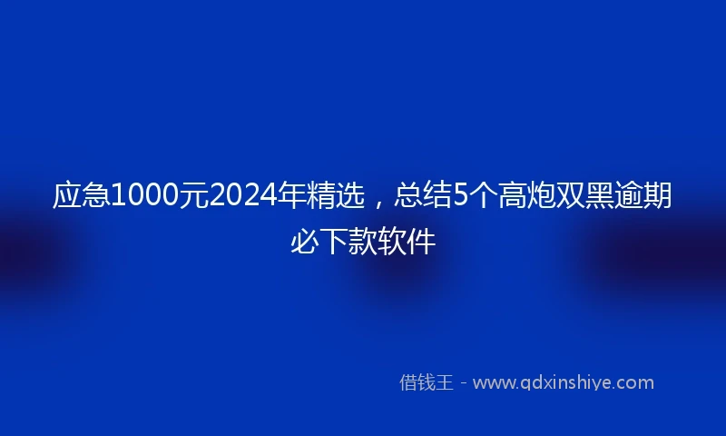 应急1000元2024年精选，总结5个高炮双黑逾期必下款软件