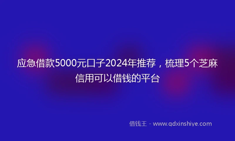 应急借款5000元口子2024年推荐，梳理5个芝麻信用可以借钱的平台
