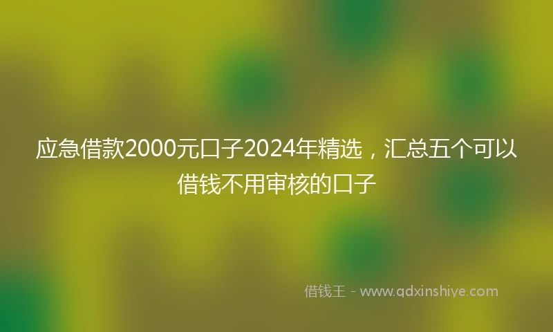 应急借款2000元口子2024年精选，汇总五个可以借钱不用审核的口子