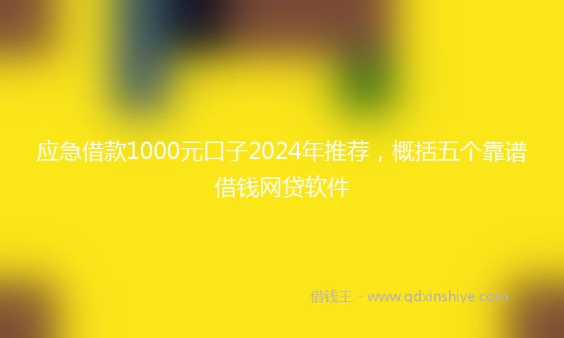 应急借款1000元口子2024年推荐，概括五个靠谱借钱网贷软件
