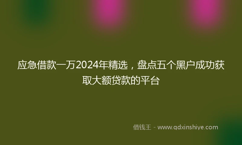 应急借款一万2024年精选，盘点五个黑户成功获取大额贷款的平台