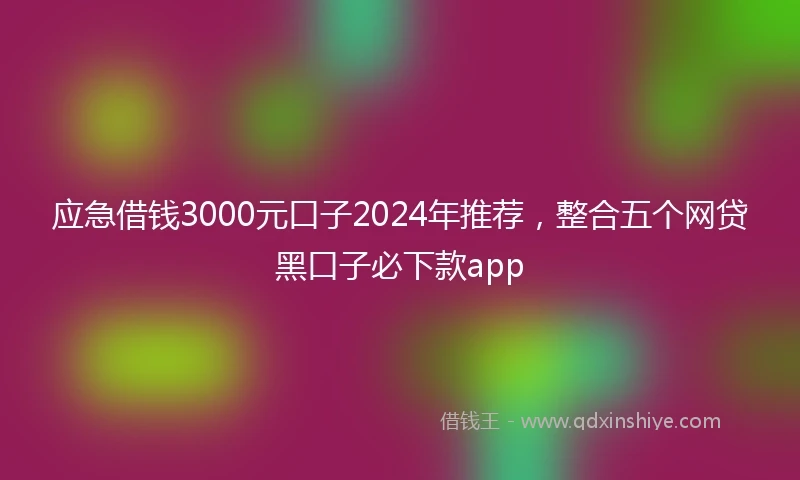应急借钱3000元口子2024年推荐，整合五个网贷黑口子必下款app