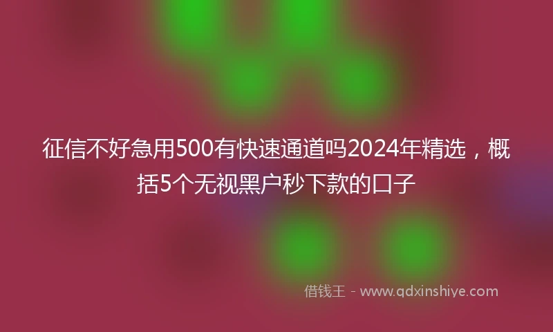 征信不好急用500有快速通道吗2024年精选，概括5个无视黑户秒下款的口子