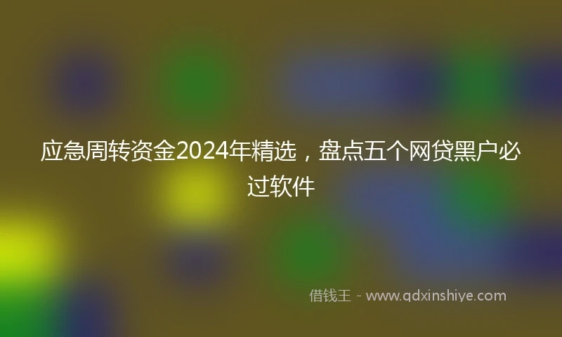 应急周转资金2024年精选，盘点五个网贷黑户必过软件