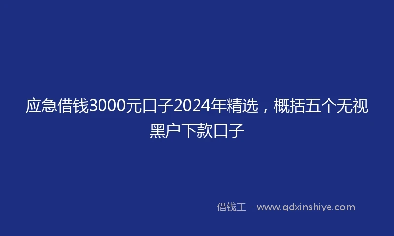 应急借钱3000元口子2024年精选，概括五个无视黑户下款口子